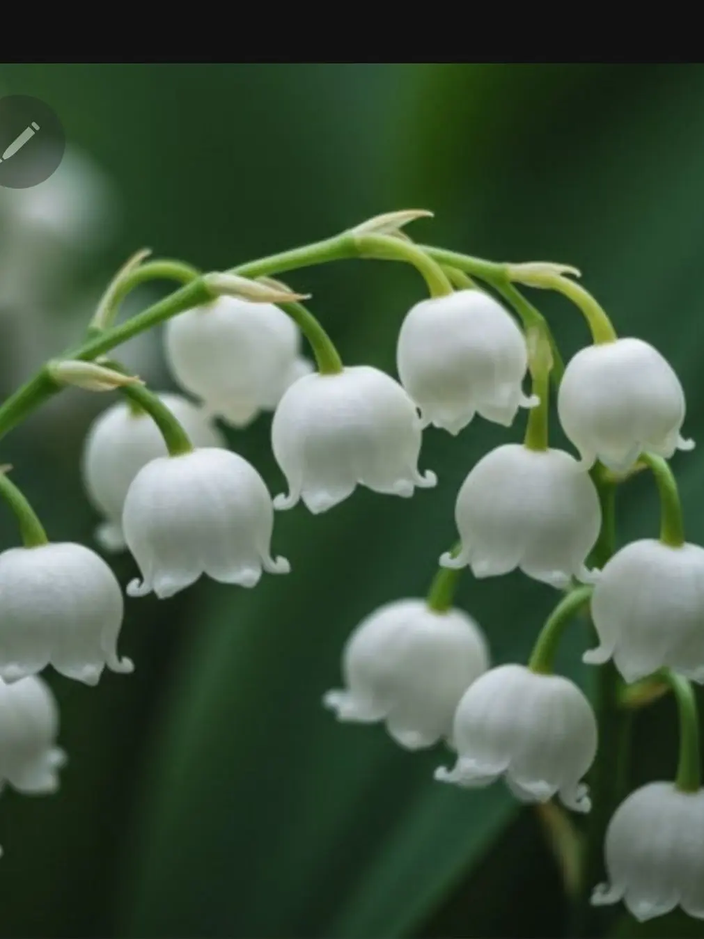 BarrenSauce0936의 이웃집좀비