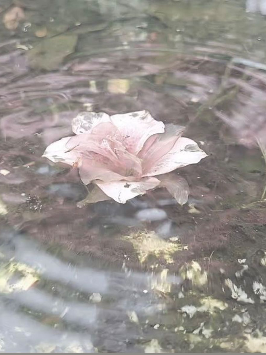 유선호 대표 이미지