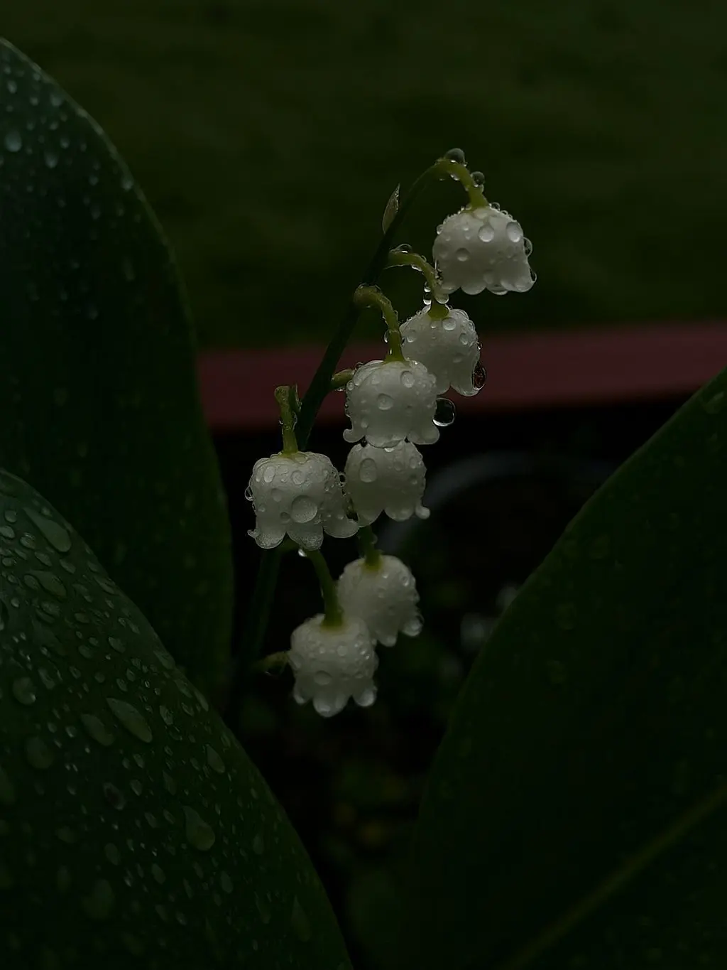 meu_o0의 揺れない場所にいるだけの話