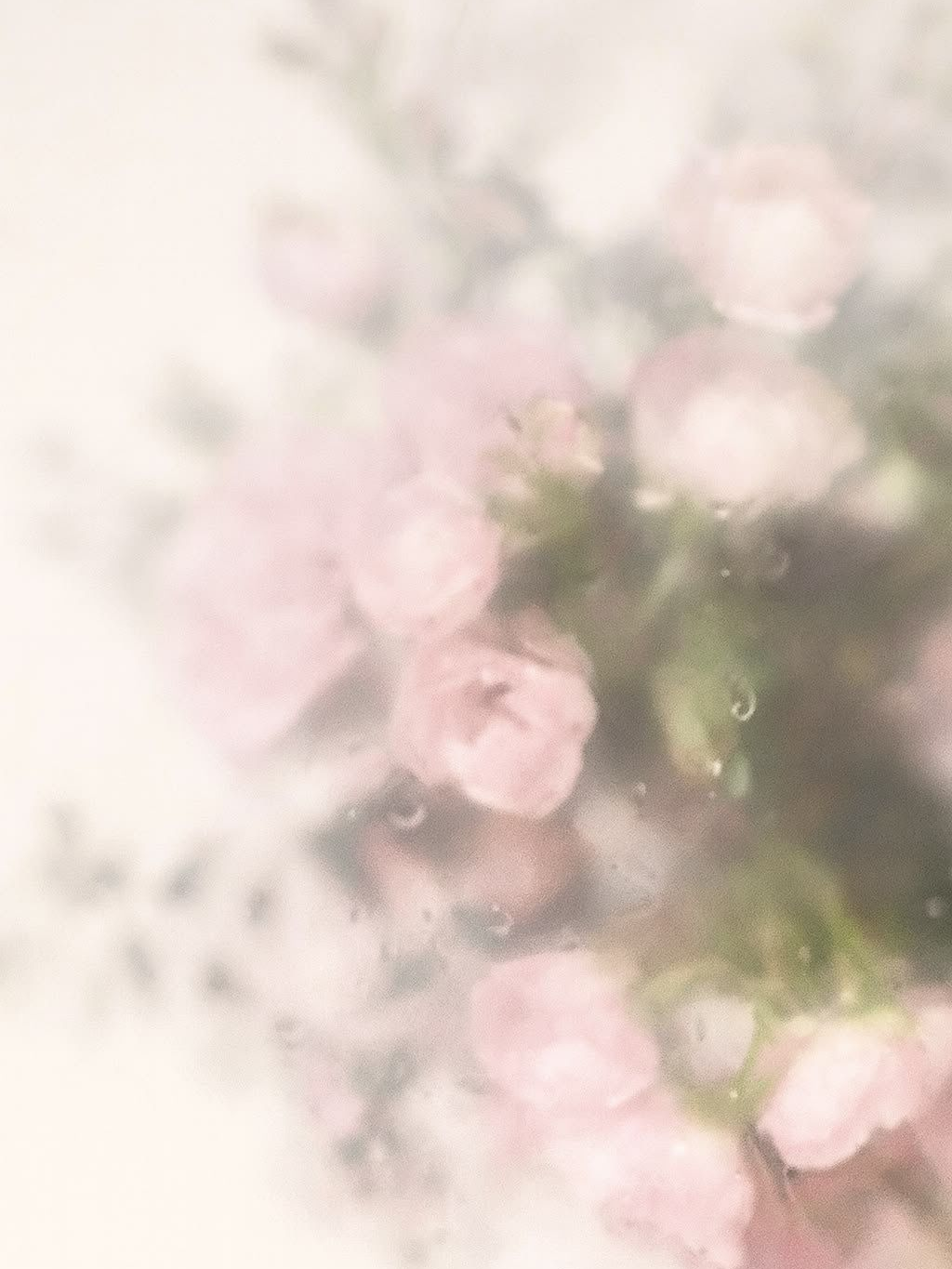 ­­ ­­ 대표 이미지