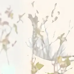 MeekDodo2648의 공포의 놀이공원
