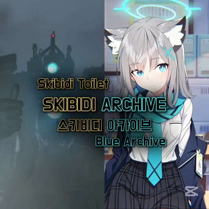tsm_edit의 스키비디 아카이브