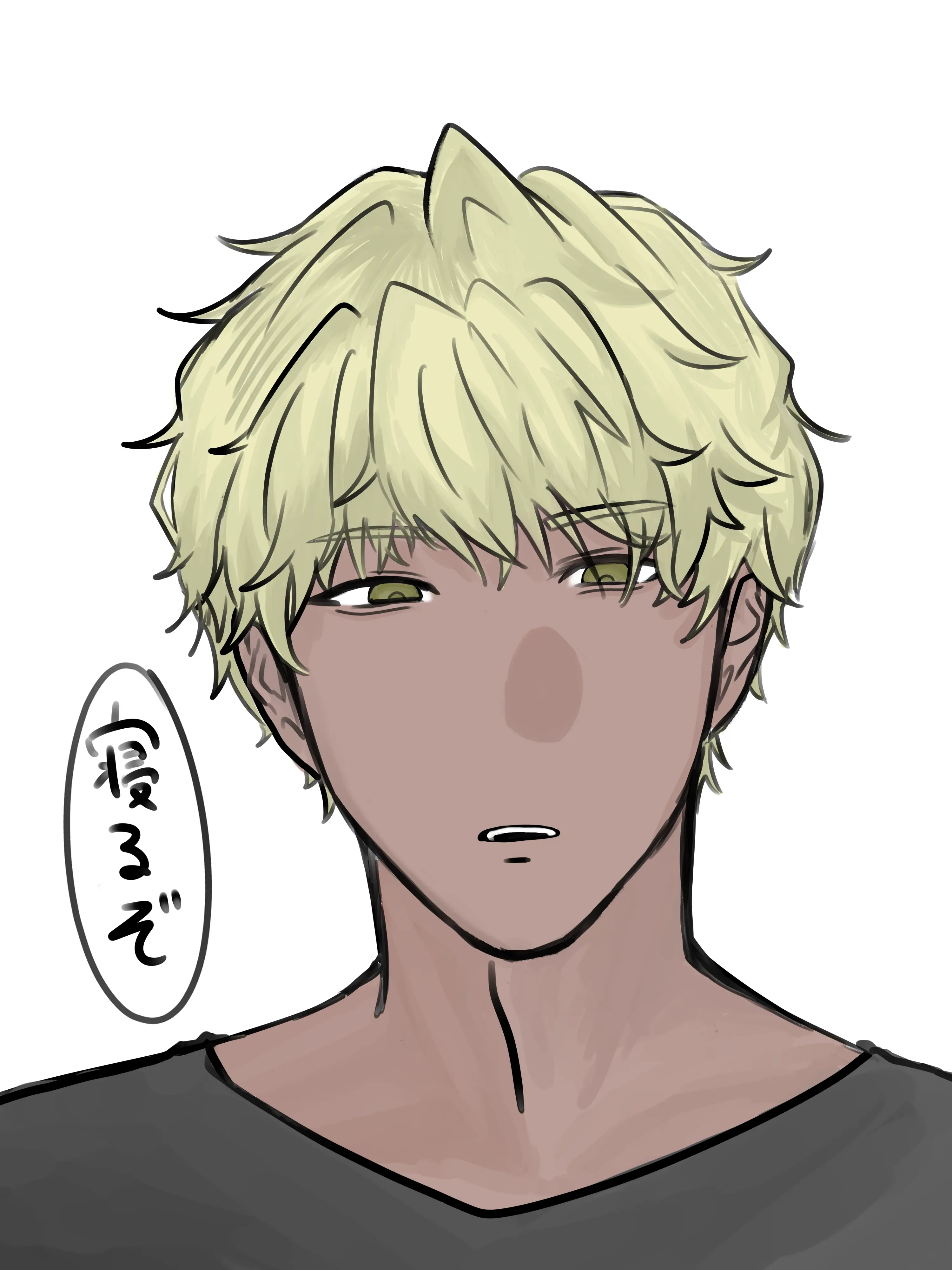 Doka_Mer0의 自称前世天使フィジ激強激怖双子兄溺愛人生