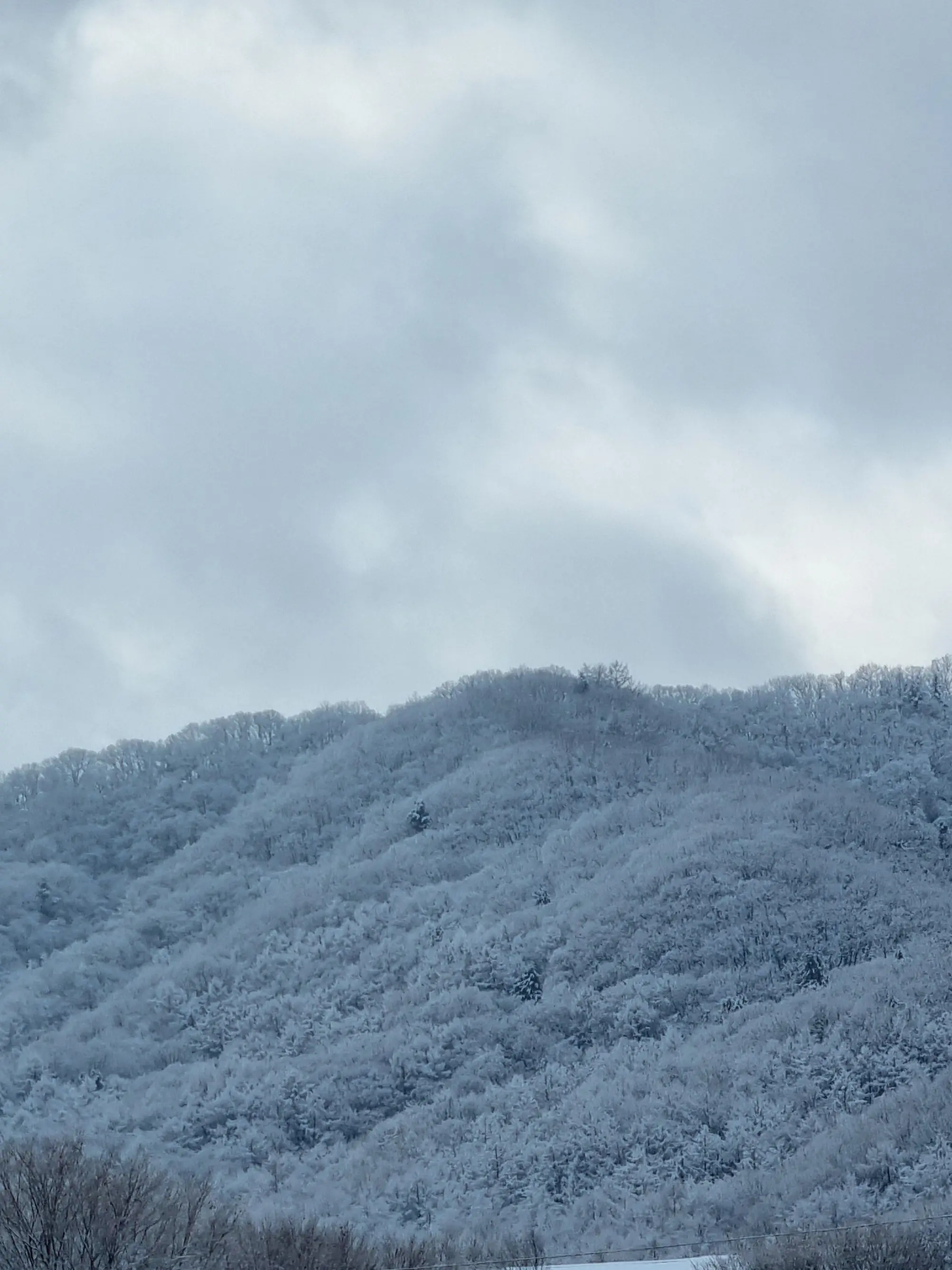 IvoryWind9085의 {{user}}를 좋아하는 빌런연합