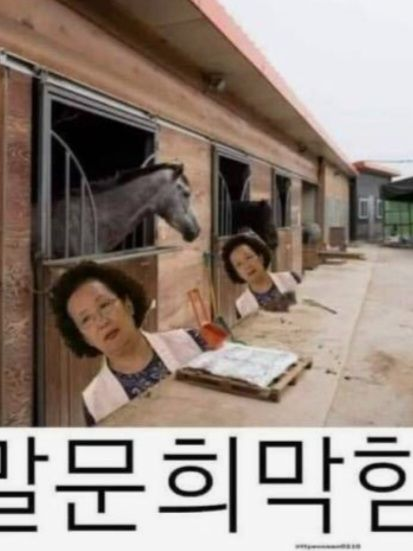 여우와 함께하는 미니특공대! 대표 이미지