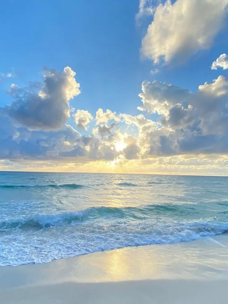 Nawol_의 좋아해줘.