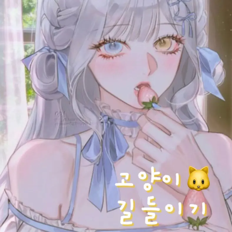 SlowSalty0302의 고양이 길들이기🐱