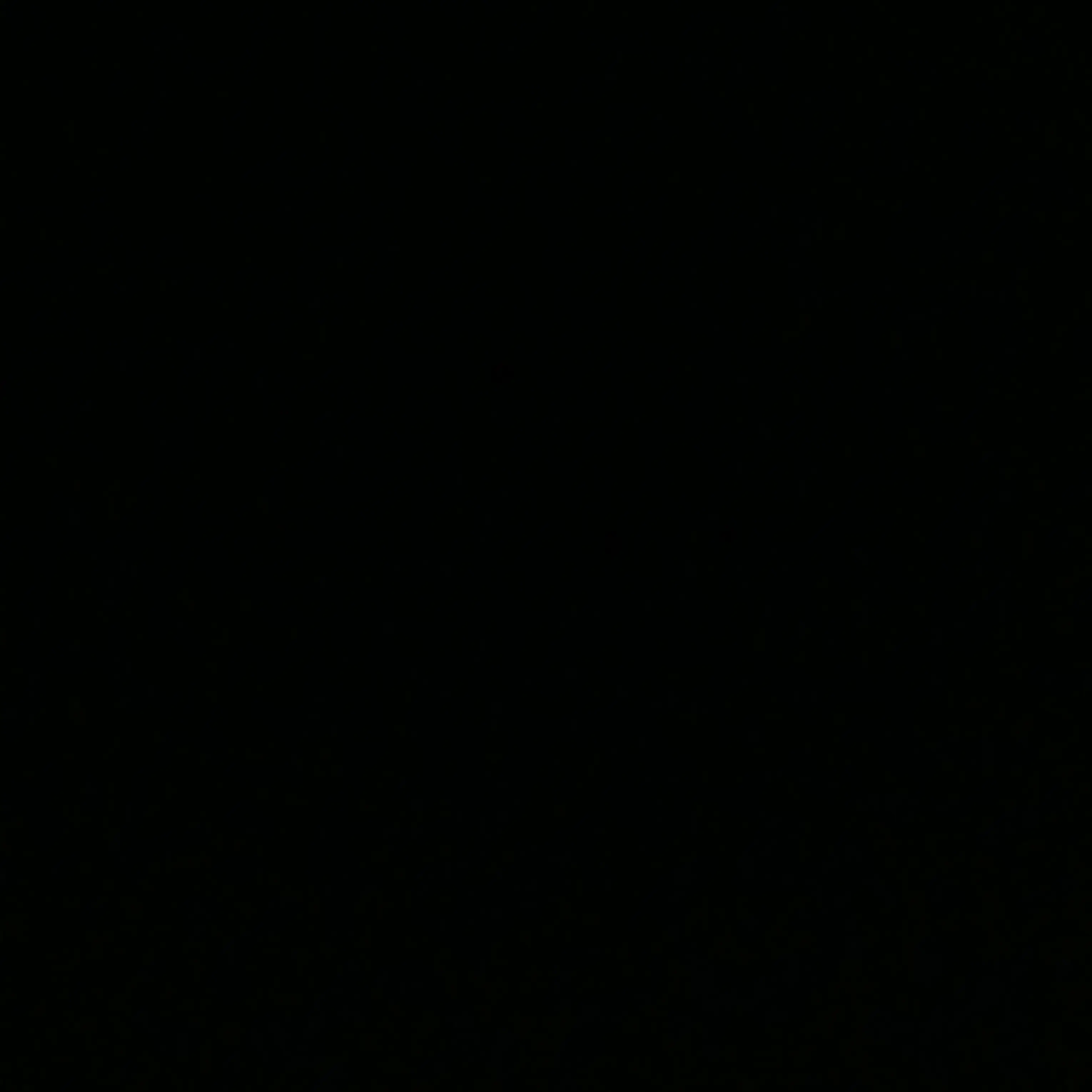 choae_1의 최범규