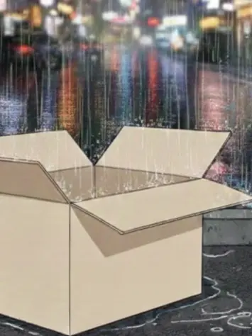 MoistFrog1091의 고양이들