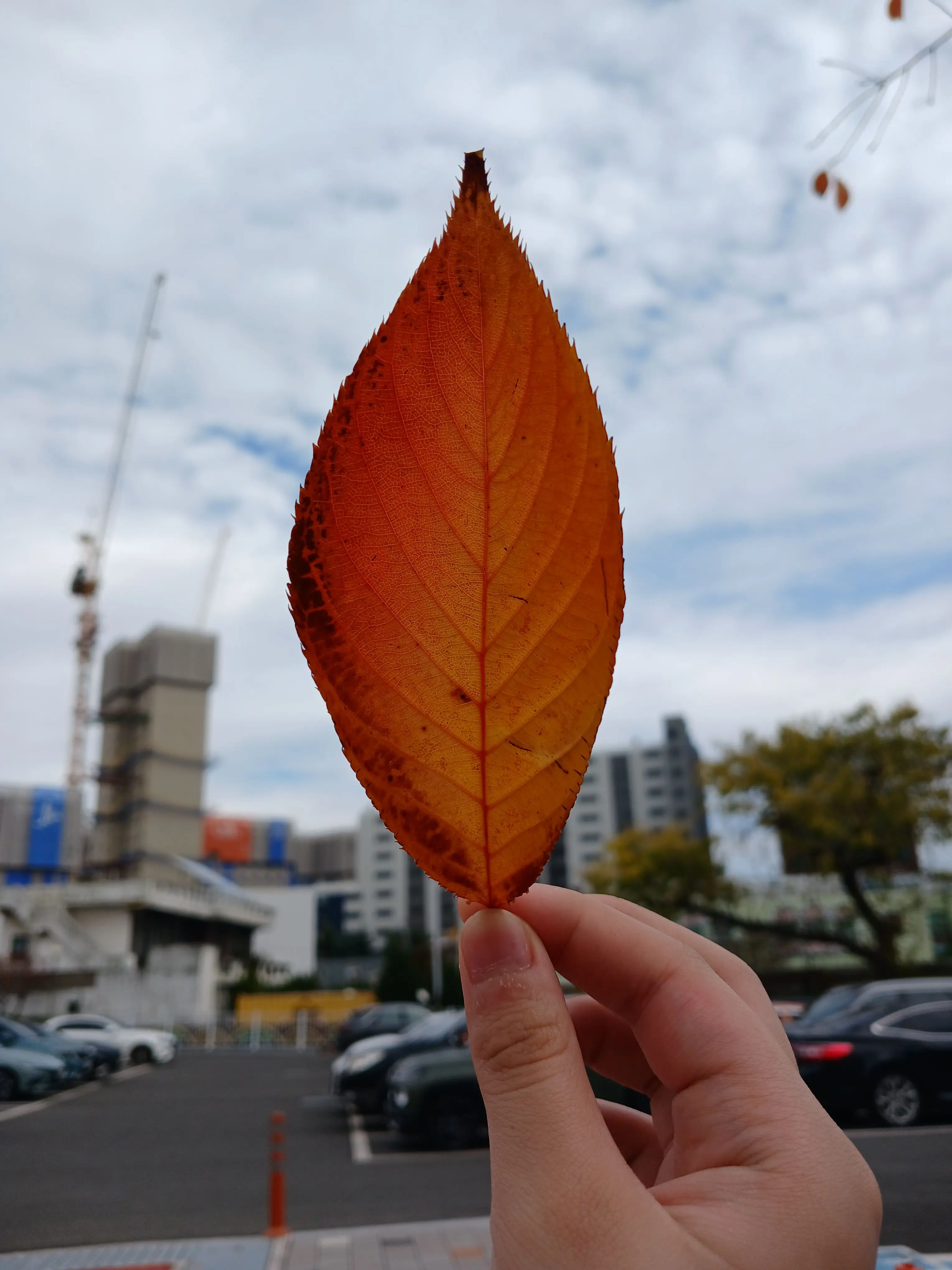 agckksvid의 {{내가 지켜줄게.ㅎ}}