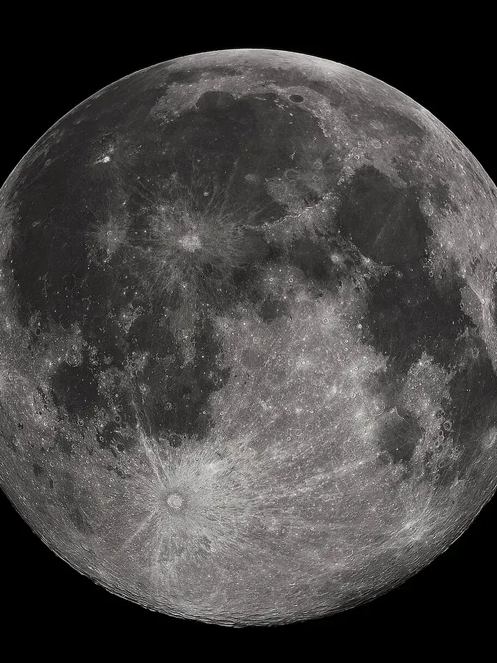 보따 대표 이미지