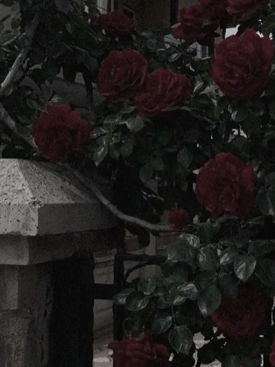 Lida1119의 🔮 문 좀 열어주세요