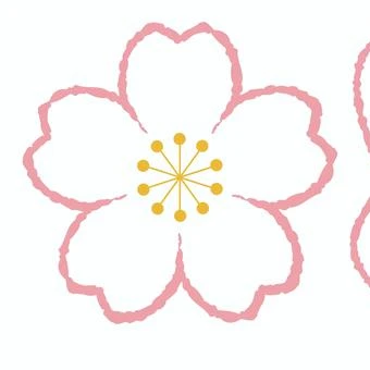 🌸