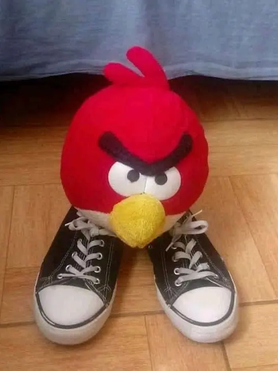 THE1loser의 Angry Birds Rp