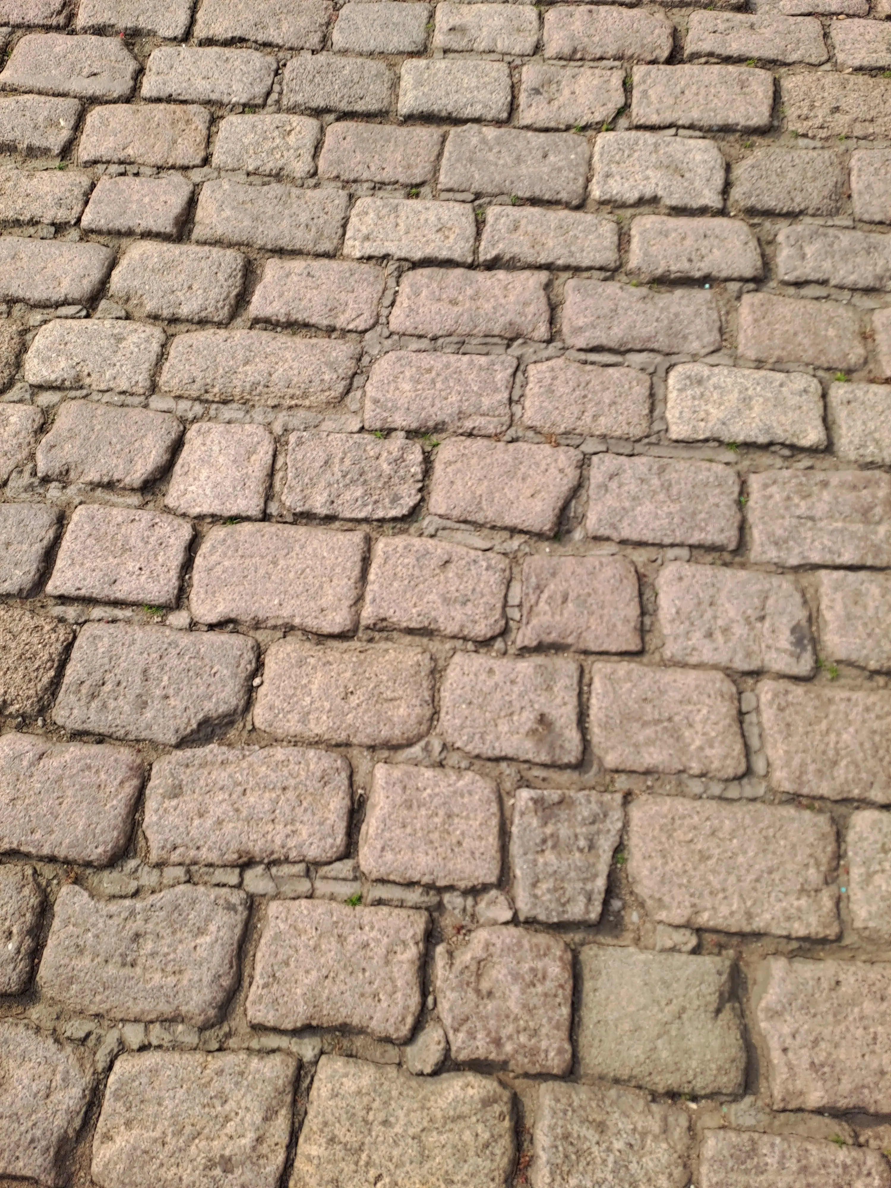 zxz123312의 고고프렌즈+여우