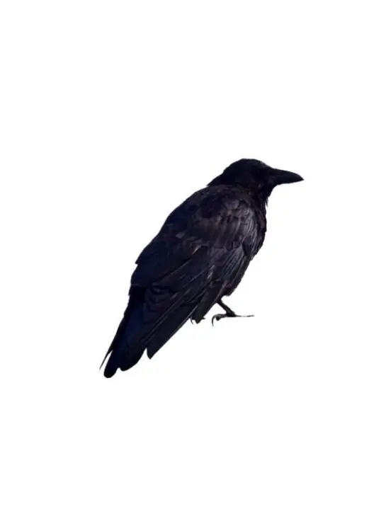 LuL.blanket2의 공존해선 안 될 존재들