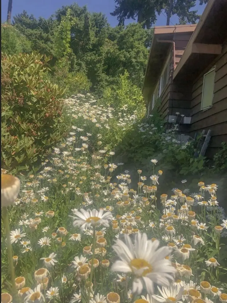 PHtyousetutyuu의 あの田舎町でまた