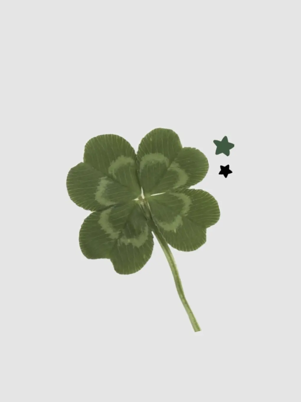 SilkyShout9498의 愛され（自分用）