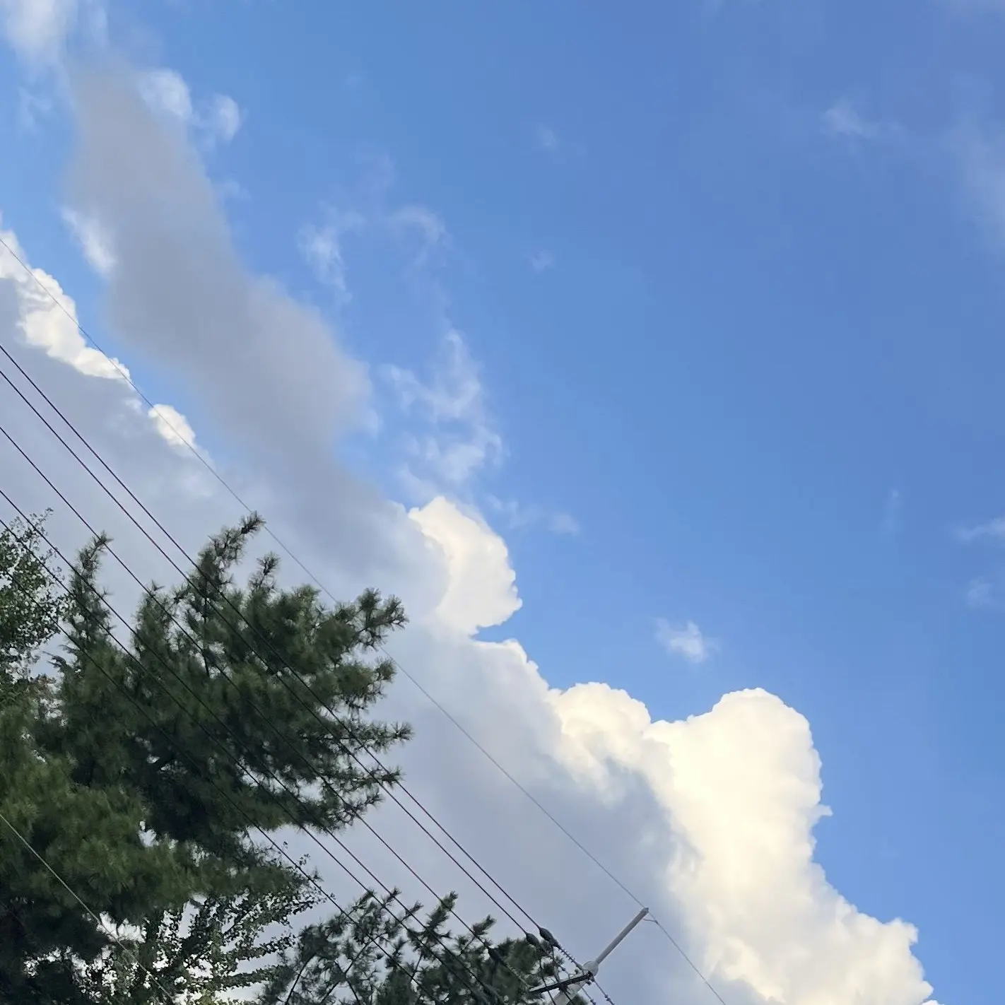 dolockahnigoonedoor의 H