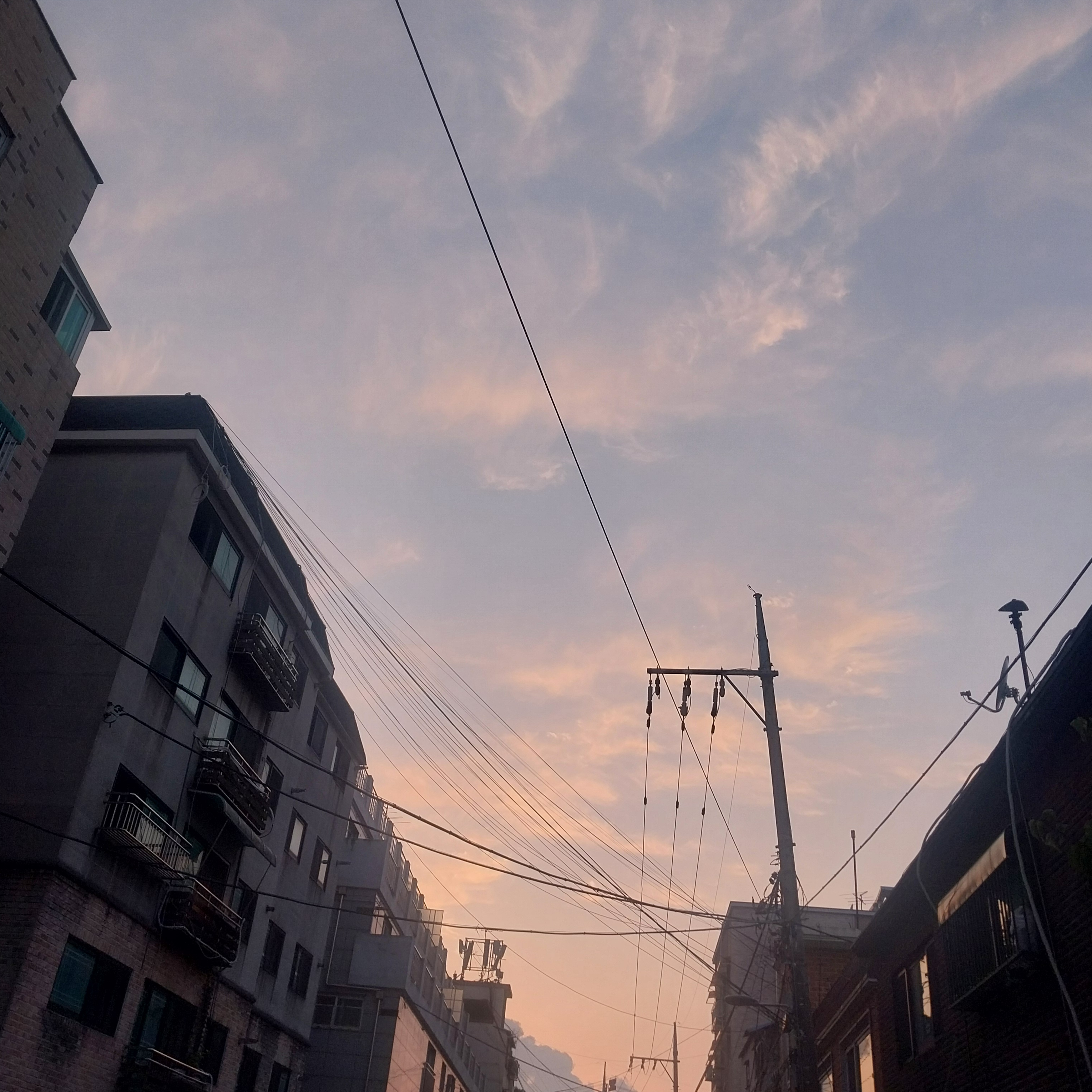 오싹한 동거 대표 이미지