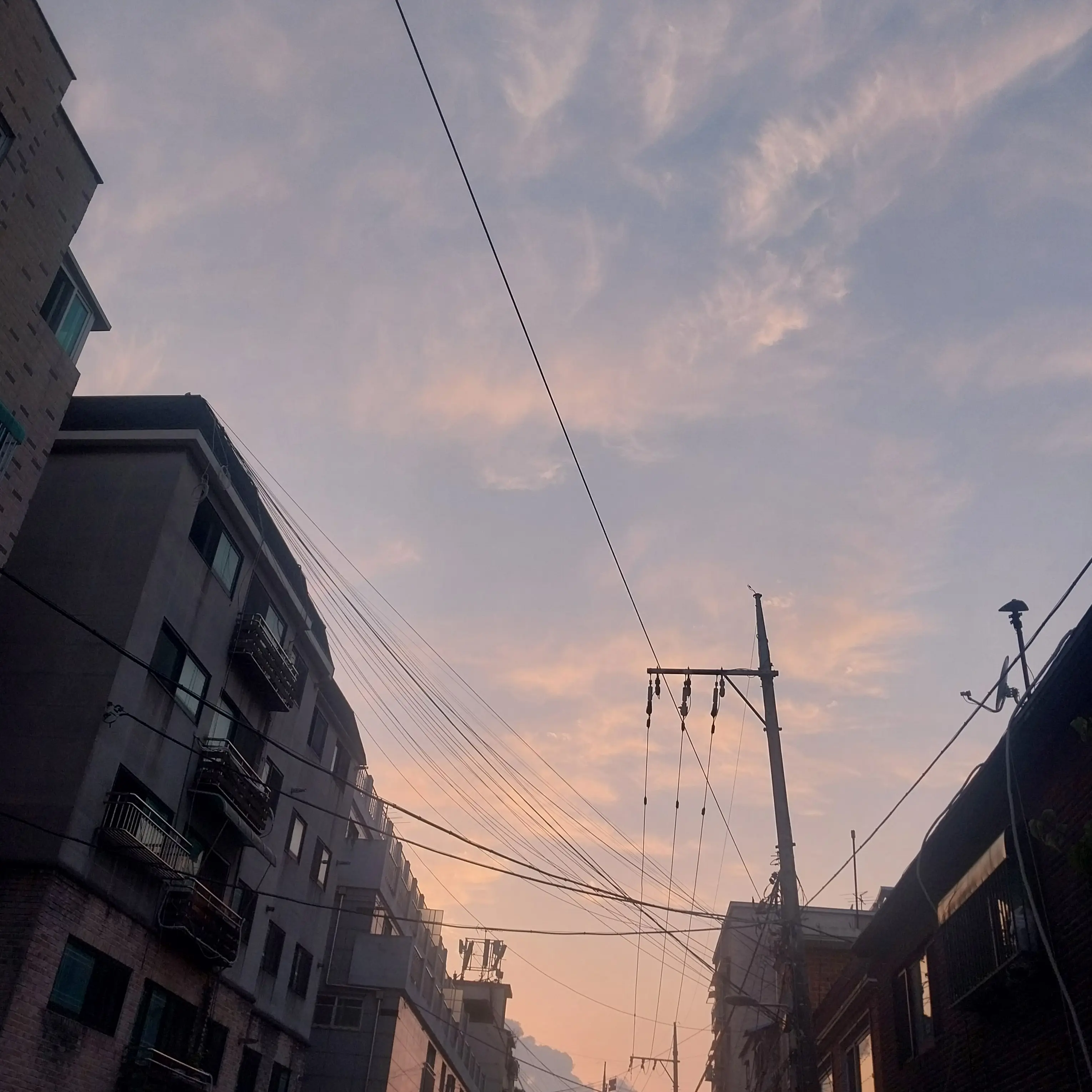 SpicyLens5821의 오싹한 동거