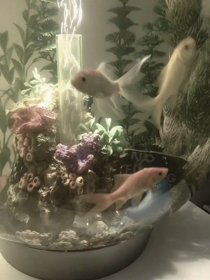 keay의 𝓷𝓮𝓮𝓭𝓵𝓮