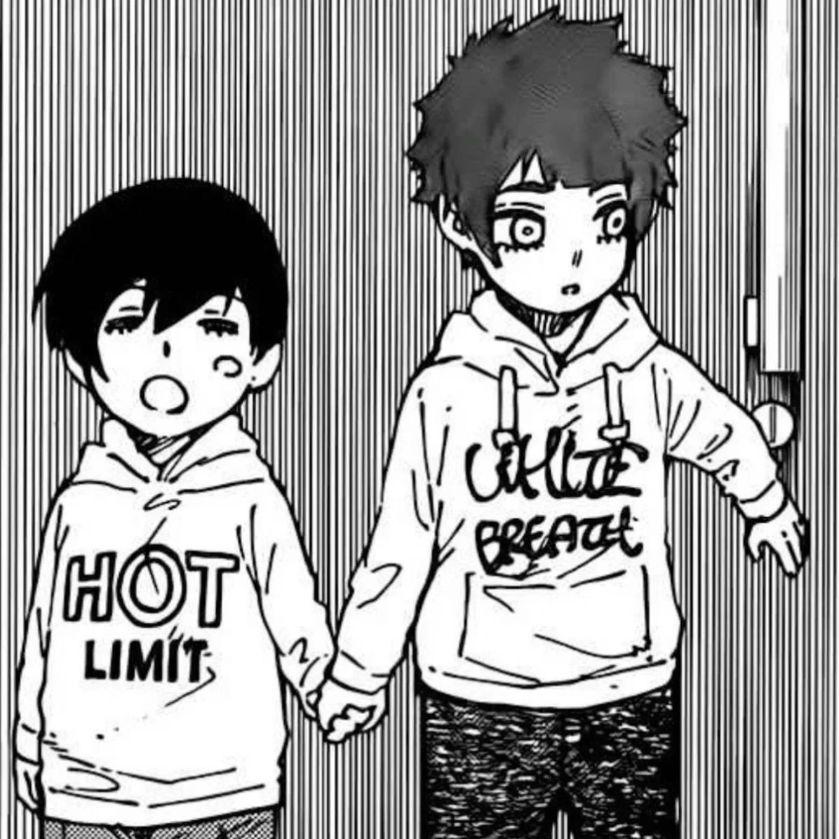 私の可愛い可愛い猫の兄弟