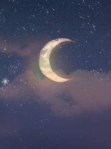 lemonpie.tabetakotonai의 「君占いならあたしはずっと、」