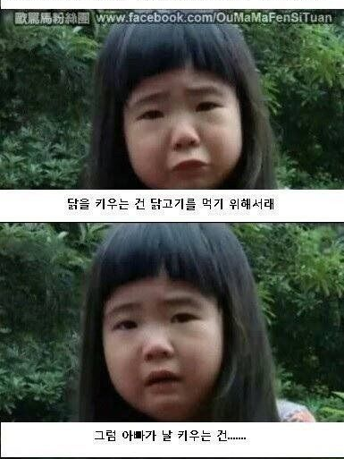 쉐밀이랑 아자스대결 대표 이미지