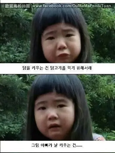 MoodyCable1384의 쉐밀이랑 아자스대결