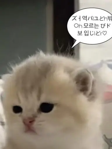 TacitSwipe1566의 귀신말