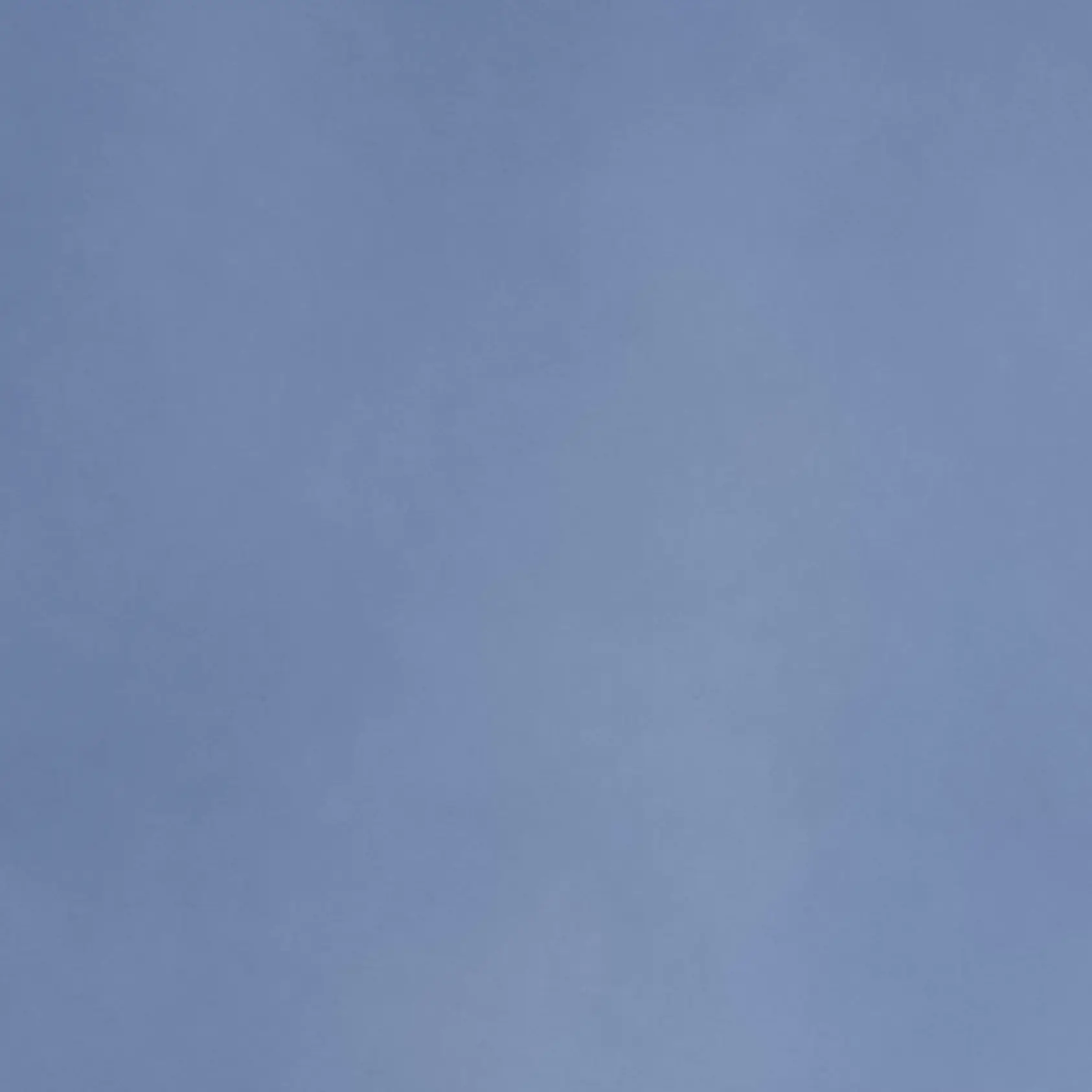 PIG7946의 덕개:(히키코모리)