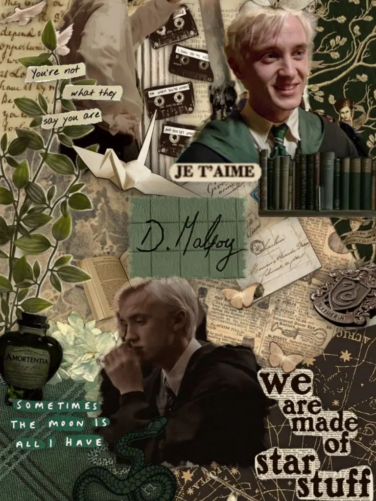Mhalovernumber1의 Draco's beloved sister or not?