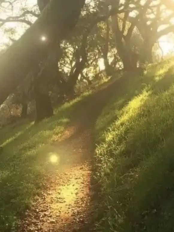 010-love-you의 2p 이세계