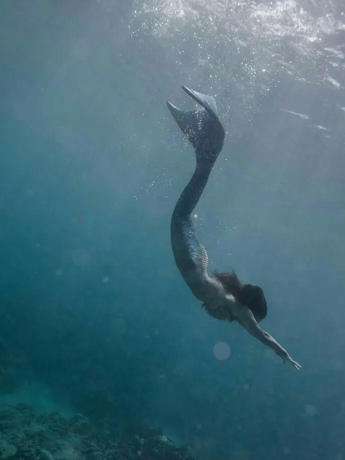 BentMole8966의 인어인 당신