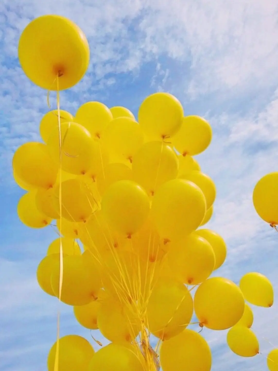 WideLight3995의 미안해,