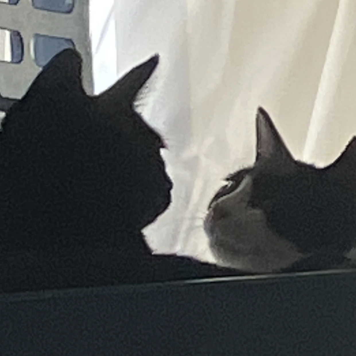 ちぐはぐな僕ら