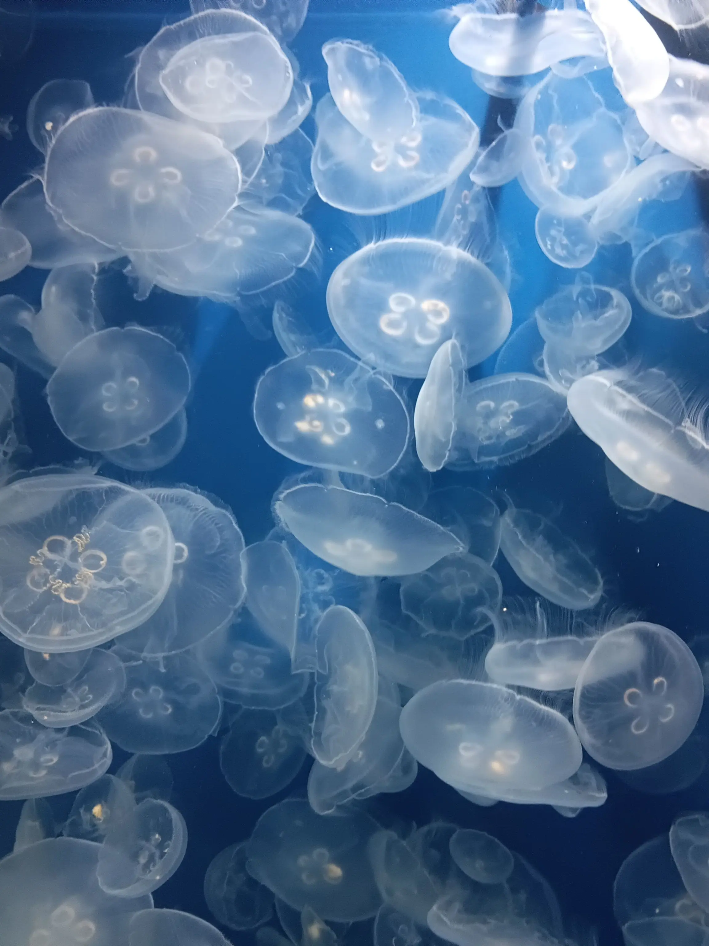 Ruo0419의 なんなりと