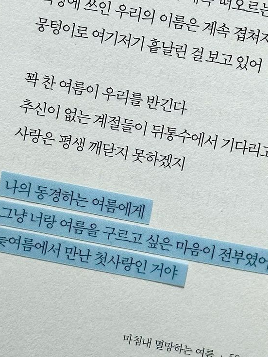 우정의 여름에게 대표 이미지