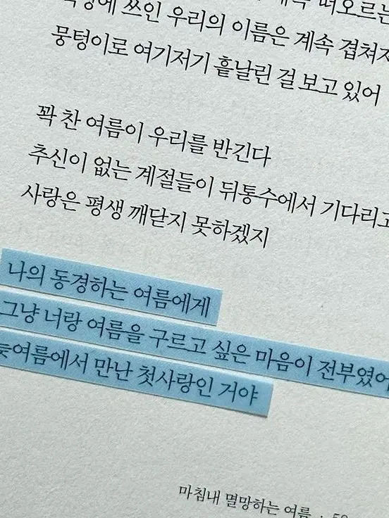 lov.e.의 우정의 여름에게