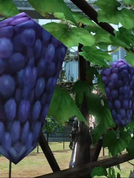 user49286392의 각진 포도를 수확하자!