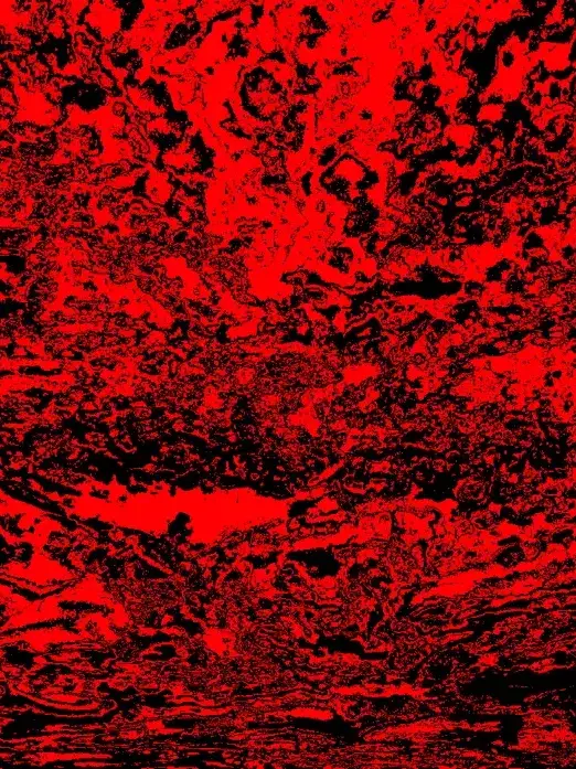 Numerus.의 포세이큰 킬러들과 동거