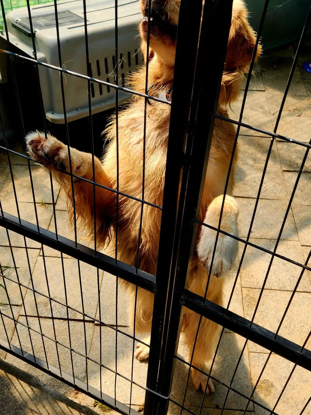 mancitizen의 올데이프로젝트 막내로 살아남기!