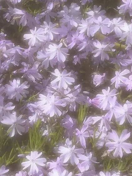 G_u.w1의 팀나빠 학교 (당신은 밥풀입니다!)