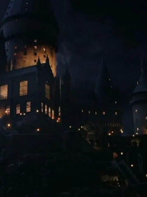 iloveoldermen123의 Hogwarts : HARRY'S SISTER?!