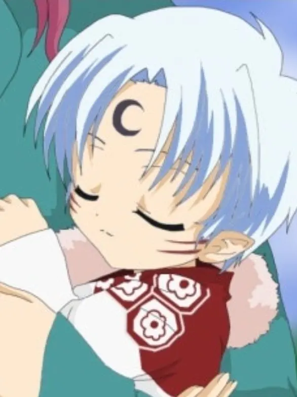 NearSofa6486의 셋쇼마루가 아기가 되었다?!