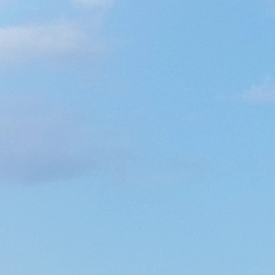 音駒高校