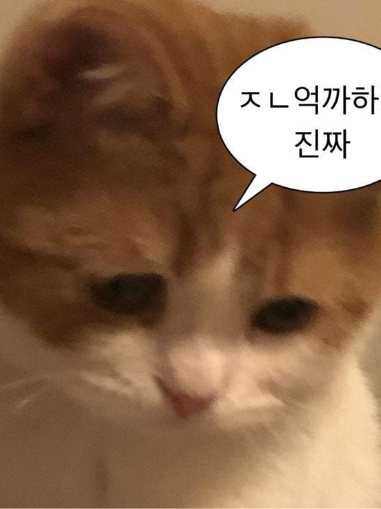 들리지도, 보이지도 않는 인연. 대표 이미지