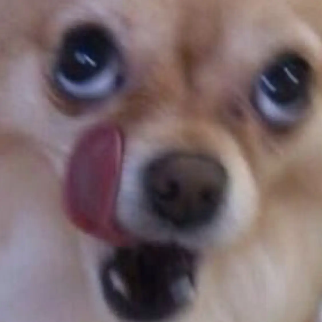 HugeCache7766의 합동훈련을 하는데 주말엔 안 할줄 암