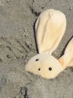 AntsyFoot9114의 넌 이 세상에서 내가 원하는 전부니까